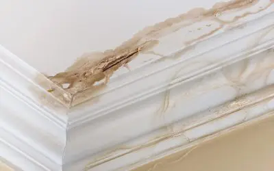 4 Tips for Dealing With Residential Water Damage