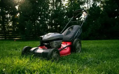 7 Tips for Spring Lawn Care