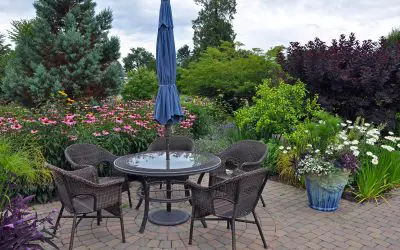 The Best Plants for Your Patio: A Guide to a Vibrant Outdoor Space