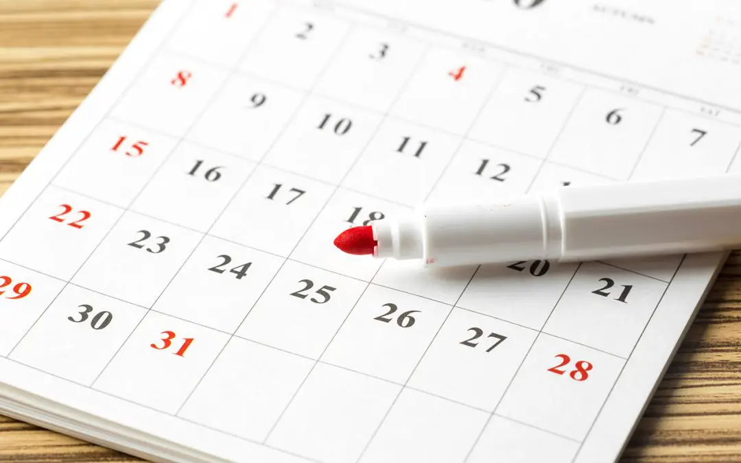 Basic Home Maintenance Schedule