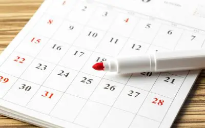 Your Home’s Health Check: A Basic Schedule for Home Maintenance
