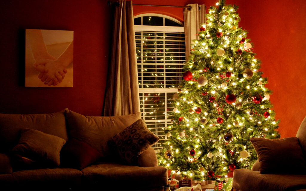 5 Christmas Tree Safety Tips