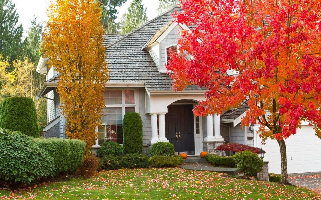 5 Ways to Boost Curb Appeal This Fall