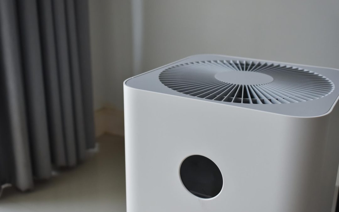 Breathe Easy: 4 Essential Tips for Air Purification in the Home